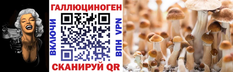 мега рабочий сайт  Андреаполь  Псилоцибиновые грибы Cubensis 